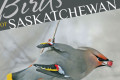 BIrds of Saskatchewan